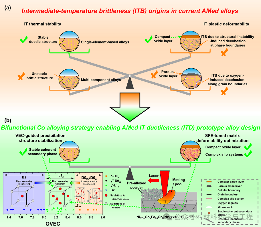 顶刊《Acta Materialia》：突破增材制造多组元合金中温脆性难题！