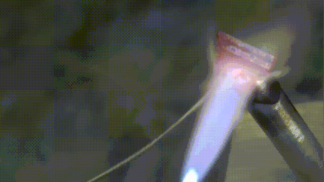 640?wx_fmt=gif&tp=webp&wxfrom=5&wx_lazy=1.gif