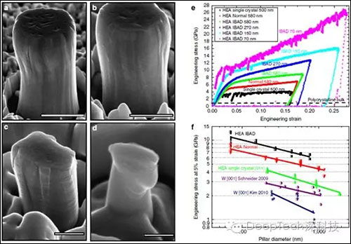 Nb-Mo-Ta-W高熵合金纳米柱样品的扫描电子