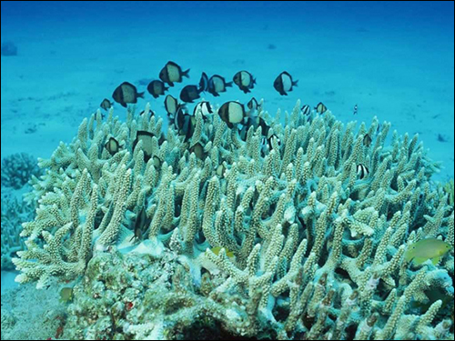 0019b91ec8ef15a18e922c