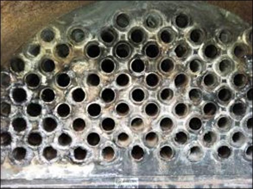 u=3196667519,2815315300&fm=21&gp=0